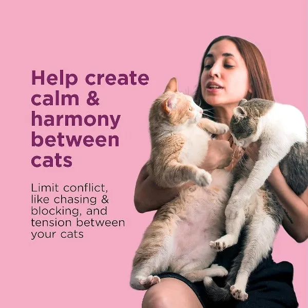 Comfort Zone Multi-Cat Diffuser Kit