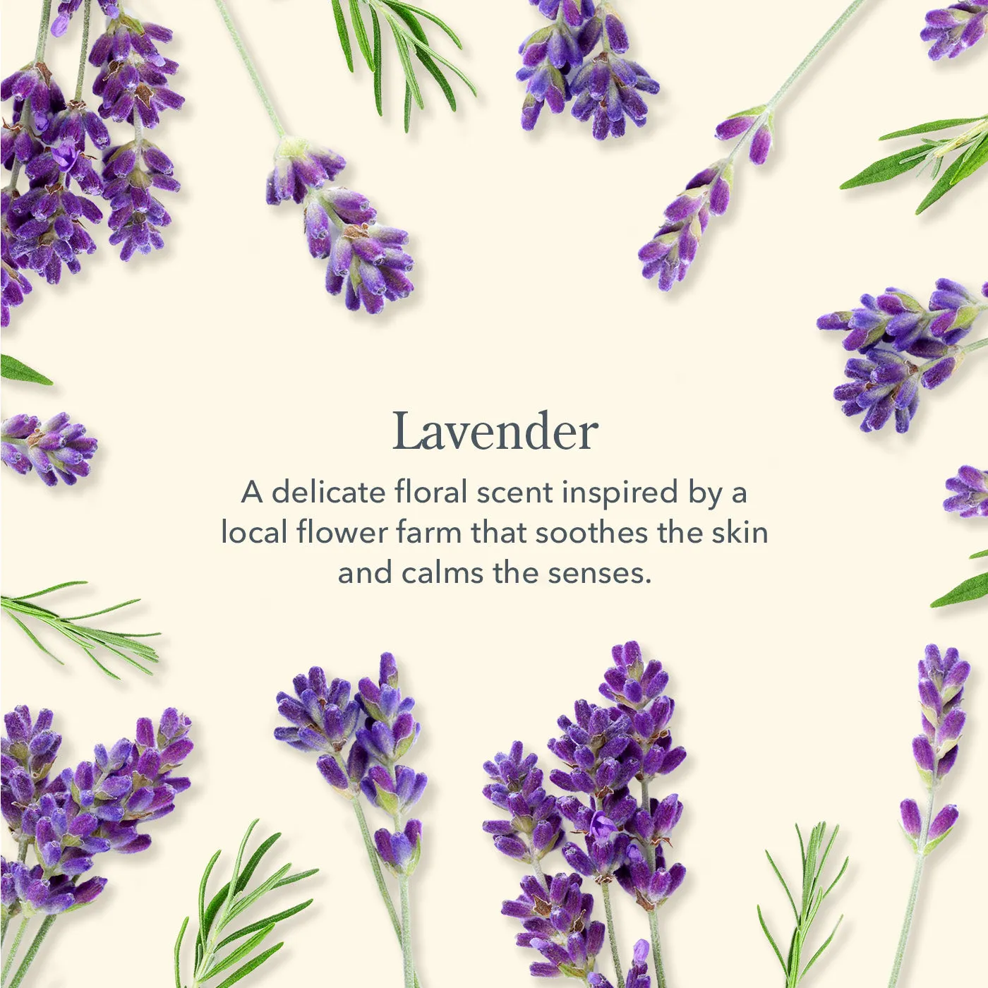 Lavendar Bar Soap